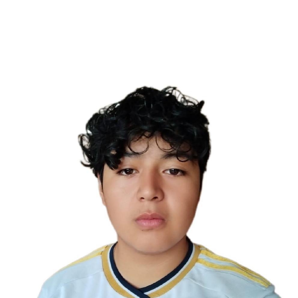 User Image