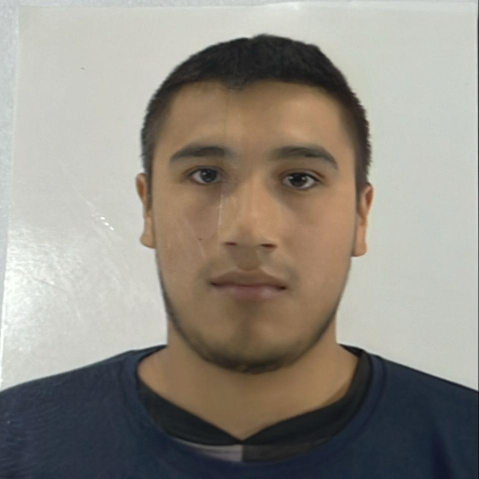 User Image